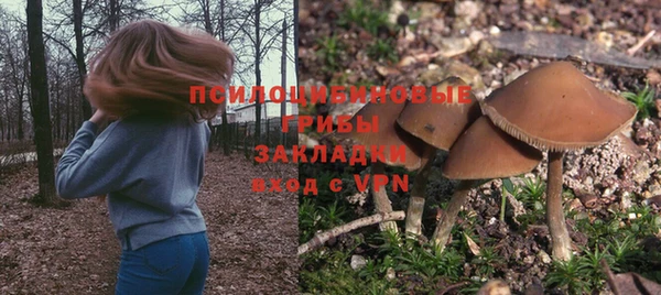 спиды Алзамай